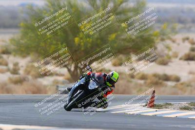 media/Apr-10-2022-SoCal Trackdays (Sun) [[f104b12566]]/Turn 5 Tree of Life (1040am)/